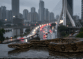 Quais as espécies de cobras mais comuns no Distrito Federal?