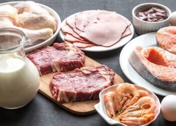 Os benefícios de uma dieta rica em proteína para o ganho de massa magra