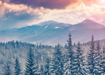Quando começa o inverno: por que a data muda todo ano?