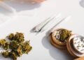 Descriminalização da maconha no Brasil: em que pé está a discussão?