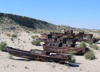 5 tecnologias da China contra a desertificação no Mar de Aral