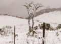 5 destinos no Brasil para quem sonha em ver neve ou geada forte