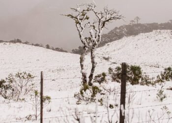 5 destinos no Brasil para quem sonha em ver neve ou geada forte