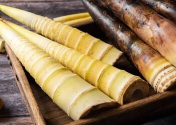 Broto de bambu é comestível? Saiba como usar o ingrediente na cozinha