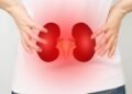 Infecção renal: o que é, sintomas e como prevenir o mal súbito