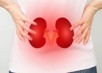 Infecção renal: o que é, sintomas e como prevenir o mal súbito