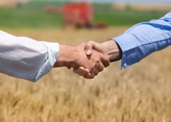 Quer trabalhar no agronegócio? Veja 5 profissões em alta no setor
