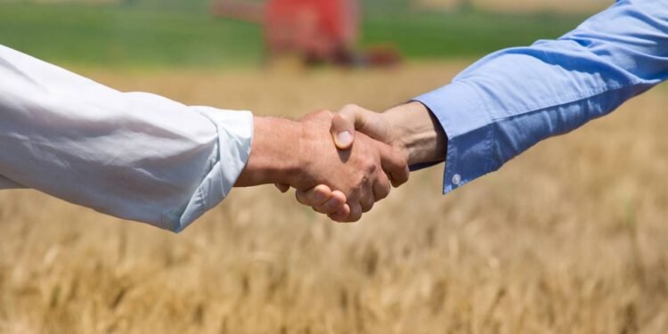 Quer trabalhar no agronegócio? Veja 5 profissões em alta no setor