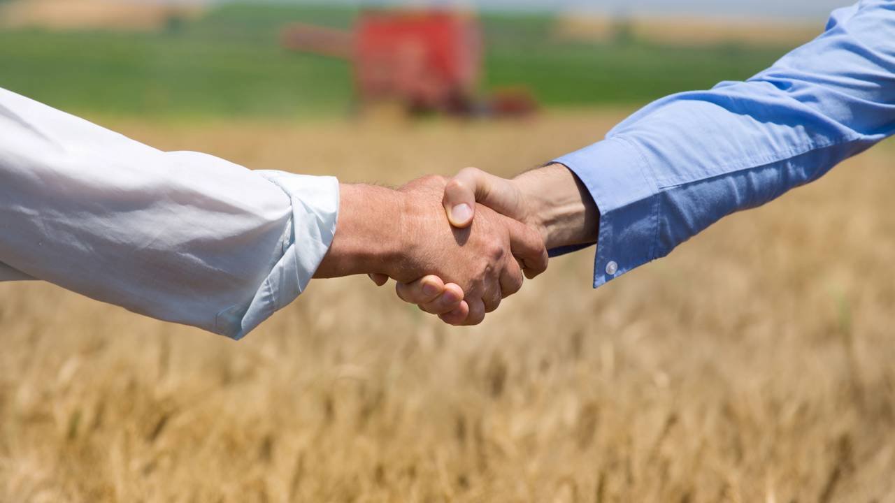 Quer trabalhar no agronegócio? Veja 5 profissões em alta no setor