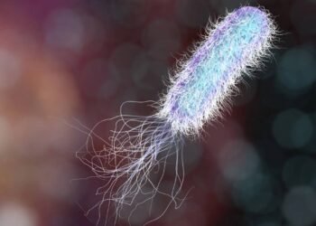 O que é a bactéria Pseudomonas e quais doenças ela pode causar?