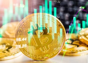 Bitcoin para iniciantes: o passo a passo seguro para começar a investir