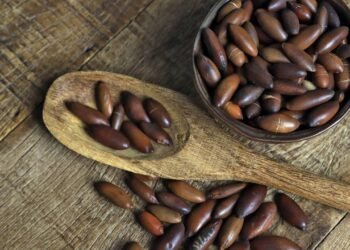 Baru, a castanha do Cerrado: 3 receitas fáceis para fazer em casa