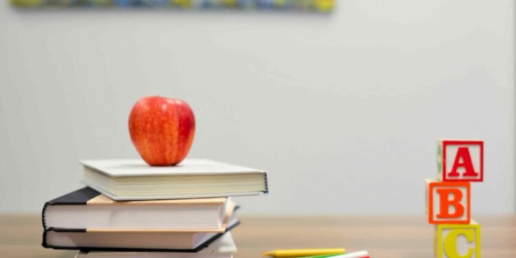 Assim como o professor masculino mais jovem do mundo, muitas pessoas descobrem o dom de lecionar cedo; veja características que indicam um futuro na educação