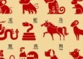 Horóscopo chinês: descubra qual é o seu signo e o que ele revela