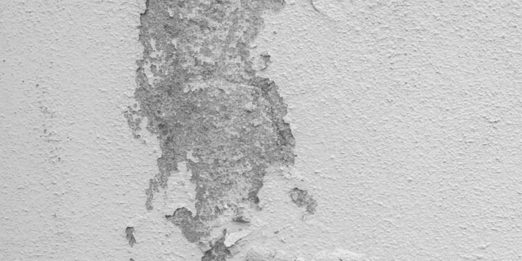 Tinta da parede descascando? saiba identificar a origem do defeito