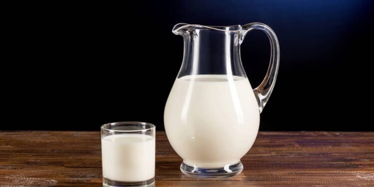Alternativas ao leite de vaca: qual a melhor opção para você?