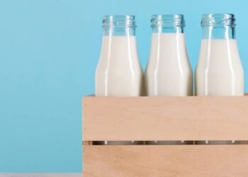 Leite com mais proteína: conheça os novos produtos e os seus benefícios
