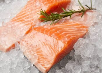 Os 7 peixes mais saudáveis para incluir na sua dieta e seus benefícios