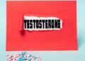 Vitamina T: para que serve o hormônio testosterona no corpo