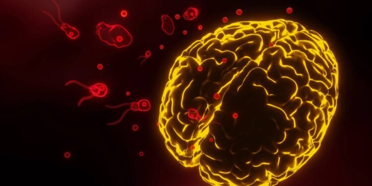 Infecção por ameba 'comedora de cérebro' nos EUA acende alerta sobre lagos mornos