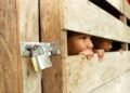 Tráfico humano no Camboja: os traumas psicológicos dos resgatados