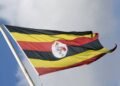 Conheça a rota cultural pelas paisagens e reinos do oeste de Uganda