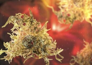 Cuidados com a ameba Naegleria fowleri ao nadar em águas doces em viagens