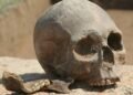 Como a antropologia forense identifica ossadas e causas de mortes