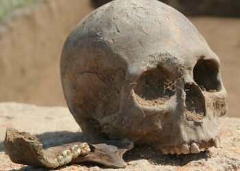 Como a antropologia forense identifica ossadas e causas de mortes