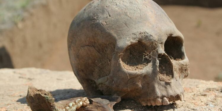 Como a antropologia forense identifica ossadas e causas de mortes