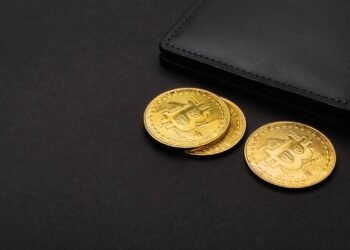 Como proteger a carteira de criptomoeda contra golpes na web