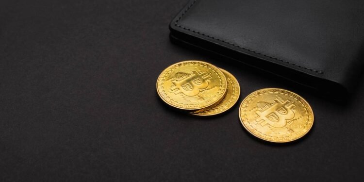 Como proteger a carteira de criptomoeda contra golpes na web