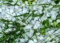 Como se forma a queda de granizo e por que o fenômeno causa estragos
