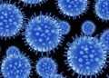 Gripe aviária: H5N1, H5N8 e H7N9, qual vírus é mais perigoso?