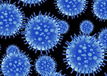 Gripe aviária: H5N1, H5N8 e H7N9, qual vírus é mais perigoso?