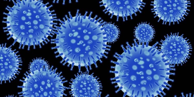 Gripe aviária: H5N1, H5N8 e H7N9, qual vírus é mais perigoso?