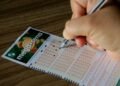 7 dicas para aumentar suas chances de ganhar na Mega-Sena