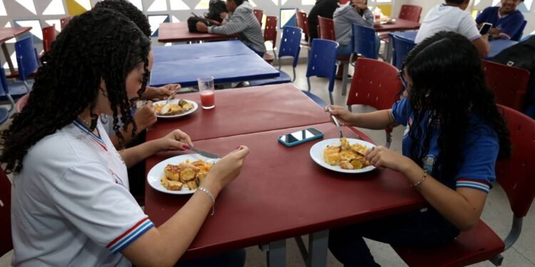 Merenda no DF: como funciona o programa de alimentação escolar