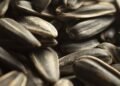 O uso de sementes na gastronomia para enriquecer pratos refinados