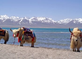 Saiba como se planejar com segurança para viagens ao Tibete e Himalaia