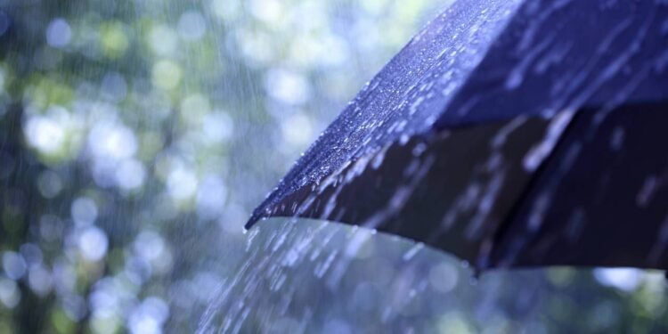 Aplicativos que preveem chuva minuto a minuto; veja os 5 melhores