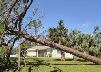 Ciclone-bomba: o passo a passo para proteger sua casa dos ventos fortes