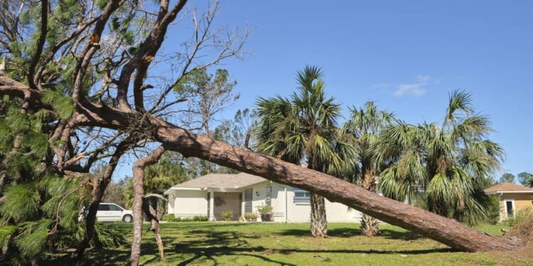Ciclone-bomba: o passo a passo para proteger sua casa dos ventos fortes