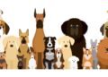 5 raças de cachorro populares no Brasil: características e cuidados