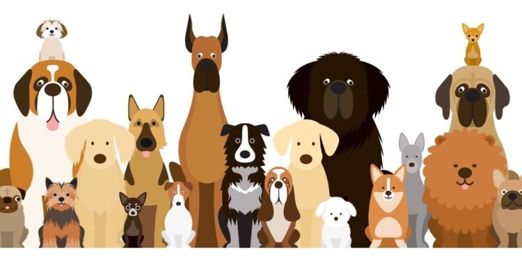5 raças de cachorro populares no Brasil: características e cuidados