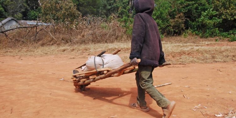 Como denunciar trabalho infantil e exploração de menores no país