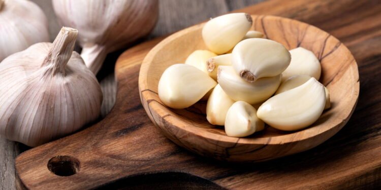 Como Plantar Alho em Casa: Guia Completo Passo a Passo