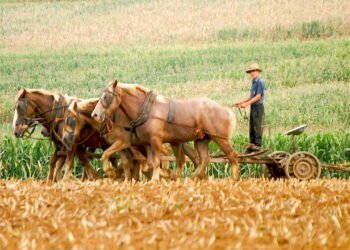 A cidade considerada 'presa ao passado'