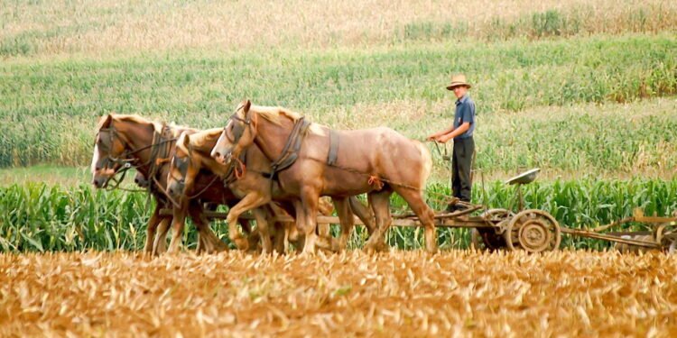 A cidade considerada 'presa ao passado'