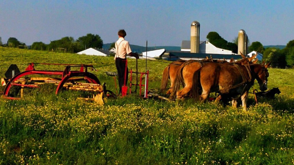 A cidade considerada 'presa ao passado'